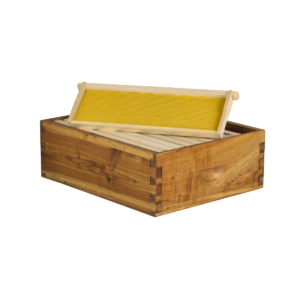 Hoover Hives Wax Coated 10 Frame Medium Honey Super Box With Frames & Foundations