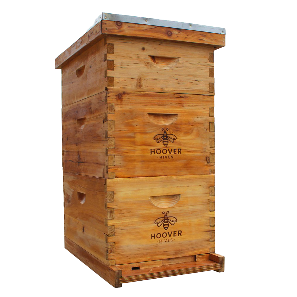 Hoover Hives | Complete Beehive Starter Kit | 2 Deeps & 1 Super Bee Box