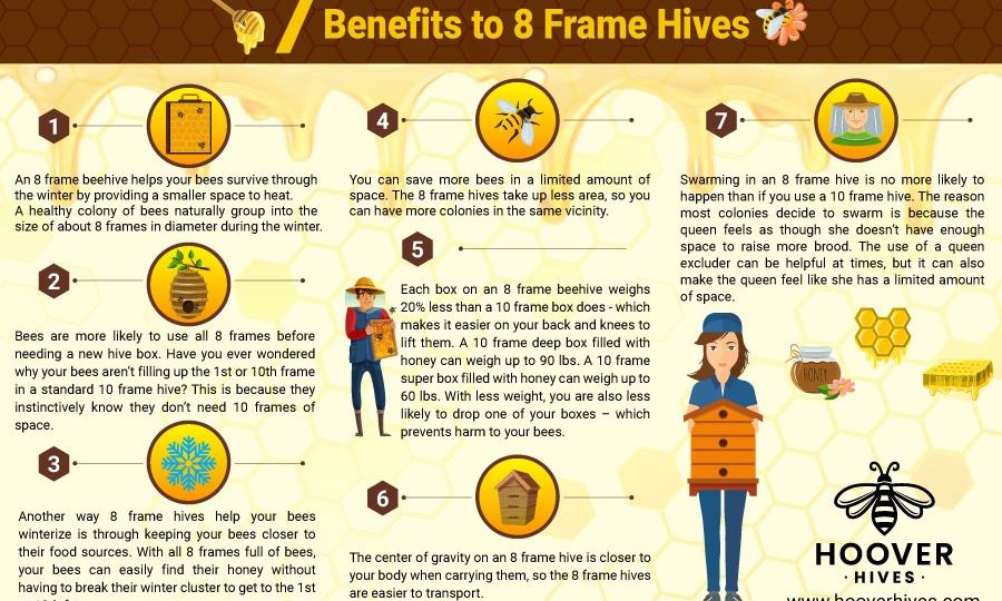 Seven reasons why eight frame beehives are better than ten frames. Including wintering, carrying, and filling your bee boxes.