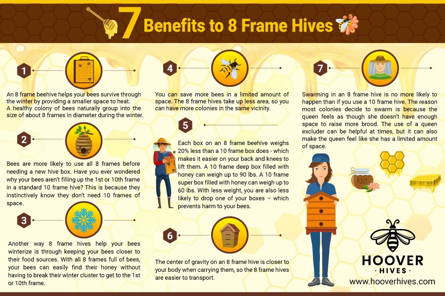 Seven reasons why eight frame beehives are better than ten frames. Including wintering, carrying, and filling your bee boxes.
