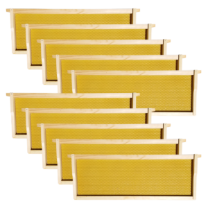 10 Cell Tech Medium Frames With Honey Colored Foundations To Help Inspect Honey In Cells