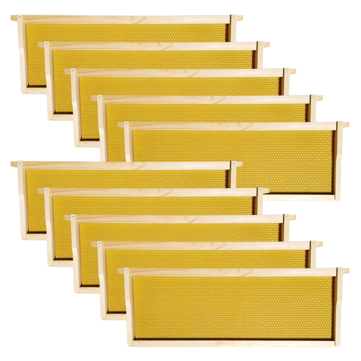10 Pack Details about   CellTech Langstroth Medium Super Beehive Frames & Foundations 